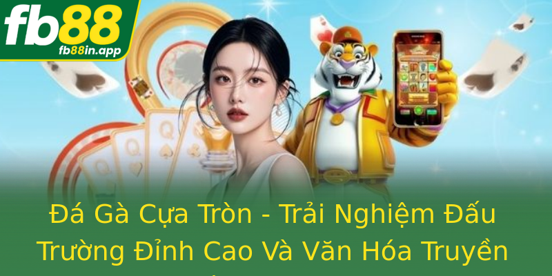 Đá Gà Cựa Tròn - Trải Nghiệm Đấu Trường Đỉnh Cao Và Văn Hóa Truyền Thống Việt Nam