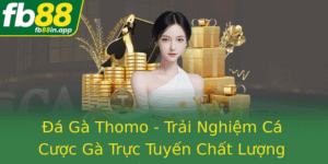 A Ga Thomo Trai Nghiem Ca Cuoc Ga Truc Tuyen Chat Luong Tren Nen Tang Fb88