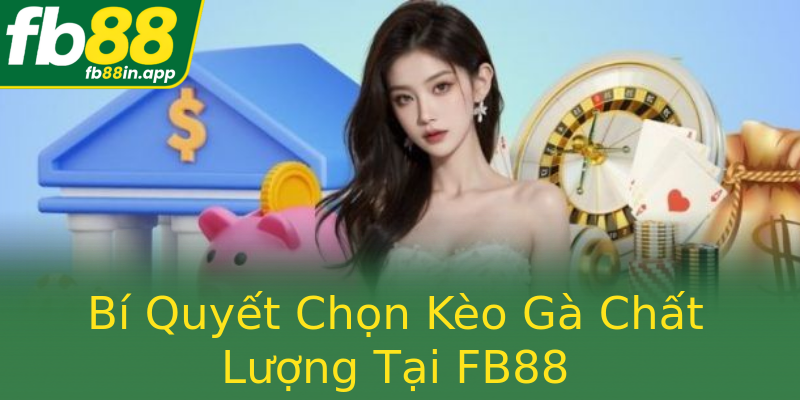 Bí Quyết Chọn Kèo Gà Chất Lượng Tại FB88