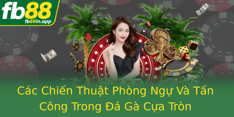 Các Chiến Thuật Phòng Ngự Và Tấn Công Trong Đá Gà Cựa Tròn