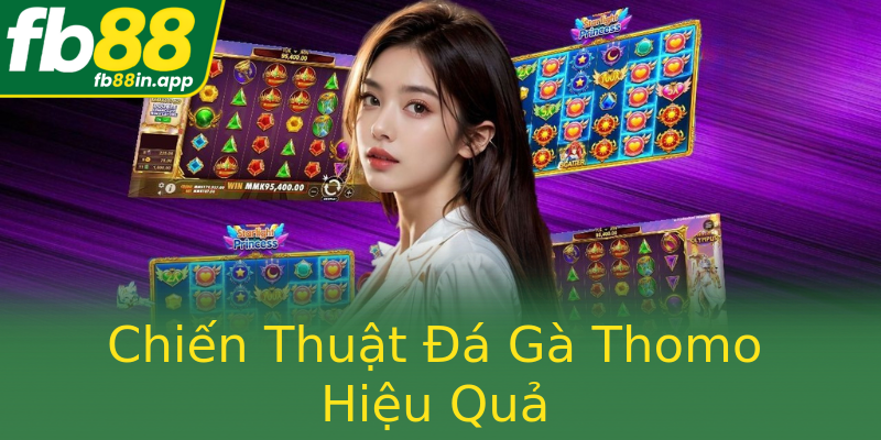 Chiến Thuật Đá Gà Thomo Hiệu Quả