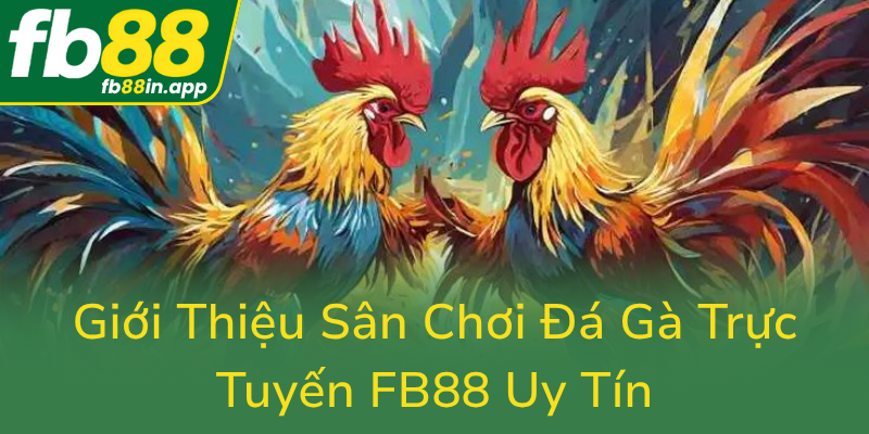 Gioi Thieu San Choi Da Ga Truc Tuyen Fb88 Uy Tin0