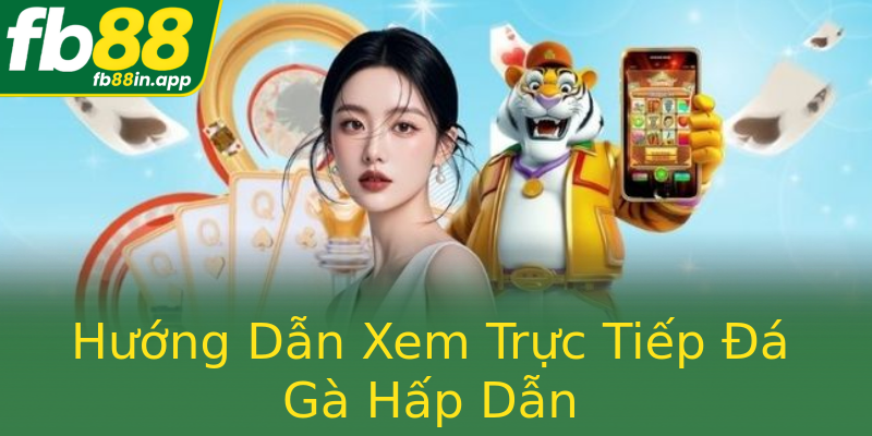 Hướng Dẫn Xem Trực Tiếp Đá Gà Hấp Dẫn