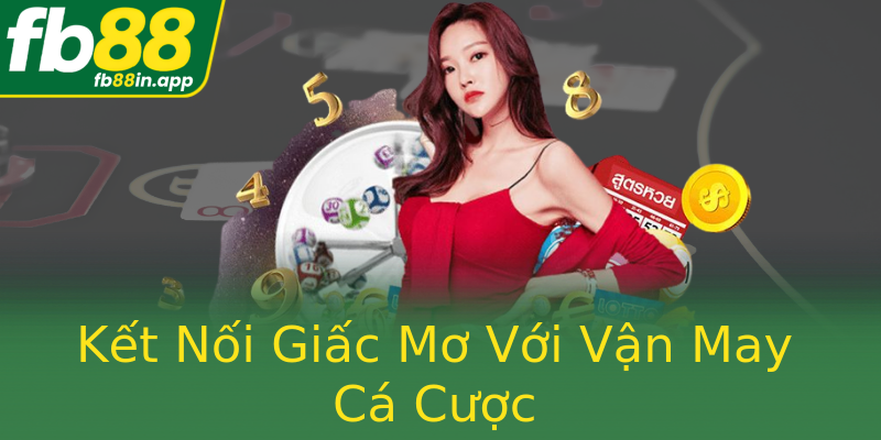 Kết Nối Giấc Mơ Với Vận May Cá Cược