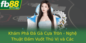 Kham Pha A Ga Cua Tron Nghe Thuat Am Vuot Thu Vi Va Cac Chien Thuat Phng Ngu Toi Uu Tai Fb88