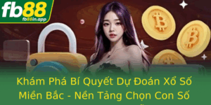 Kham Pha Bi Quyet Du Oan Xo So Mien Bac Nen Tang Chon Con So Chinh Xac Va Cong Cu Ho Tro Fb88