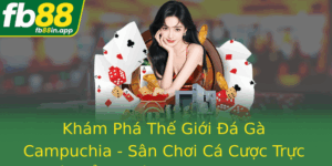 Kham Pha The Gioi A Ga Campuchia San Choi Ca Cuoc Truc Tuyen Ang Cap Tai Khu Vuc Ong Nam A