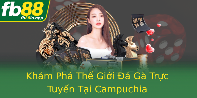 Khám Phá Thế Giới Đá Gà Trực Tuyến Tại Campuchia