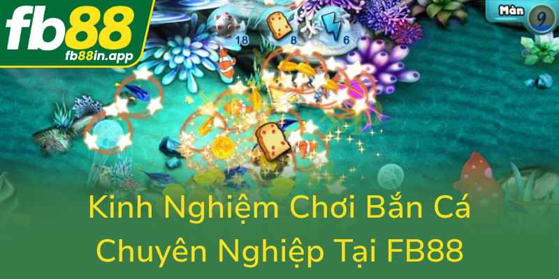 Kinh Nghiem Choi Ban Ca Chuyen Nghiep Tai Fb880