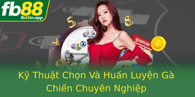 Kỹ Thuật Chọn Và Huấn Luyện Gà Chiến Chuyên Nghiệp Kỹ Thuật Chọn Và Huấn Luyện Gà Chiến Chuyên Nghiệp