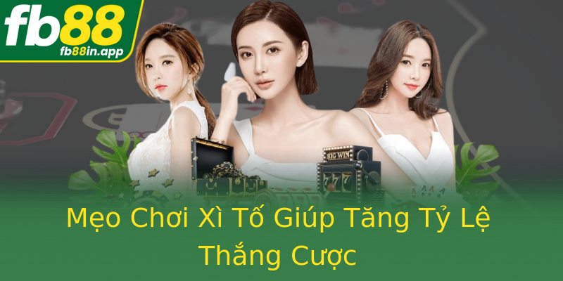 Mẹo Chơi Xì Tố Giúp Tăng Tỷ Lệ Thắng Cược