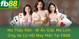 Mo Thay Ran Bi An Giac Mo Linh Ung Va Co Hoi May Man Tai Fb88